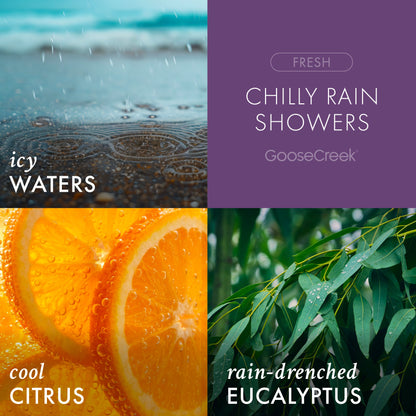 Chilly Rain Showers Odor Eliminating Room Spray