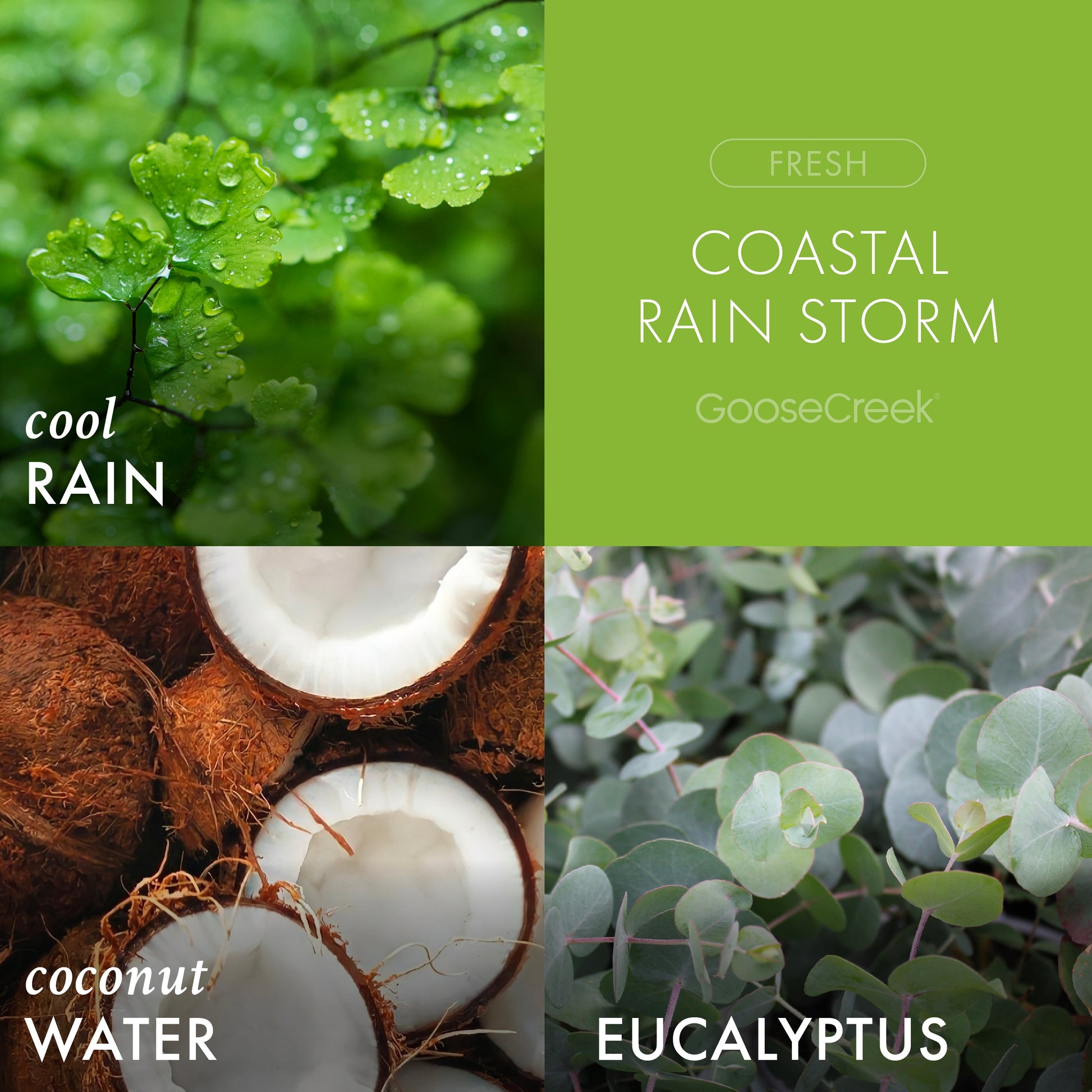 Coastal Rain Storm 3-Wick Candle