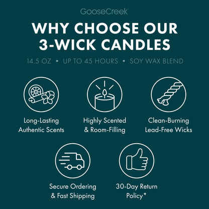 Forest Pine Trees 3-Wick Candle