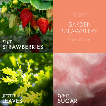 Garden Strawberry Odor Eliminating Room Spray