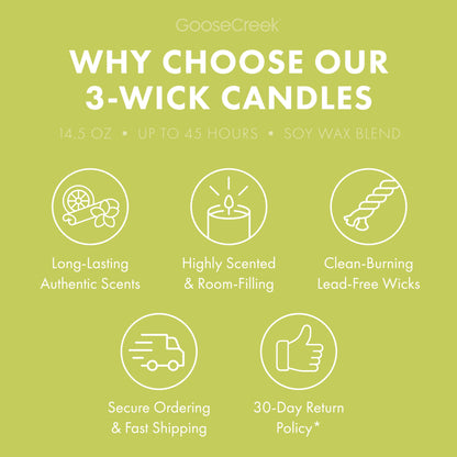 Honeydew Melon 3-Wick Candle