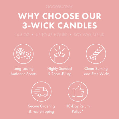 Macintosh Apple 3-Wick Candle