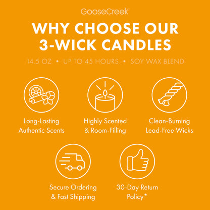 Mango Sticky Rice 3-Wick Candle