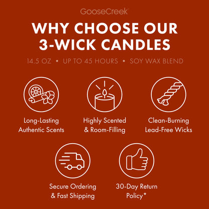 Palo Santo Coconut 3-Wick Candle