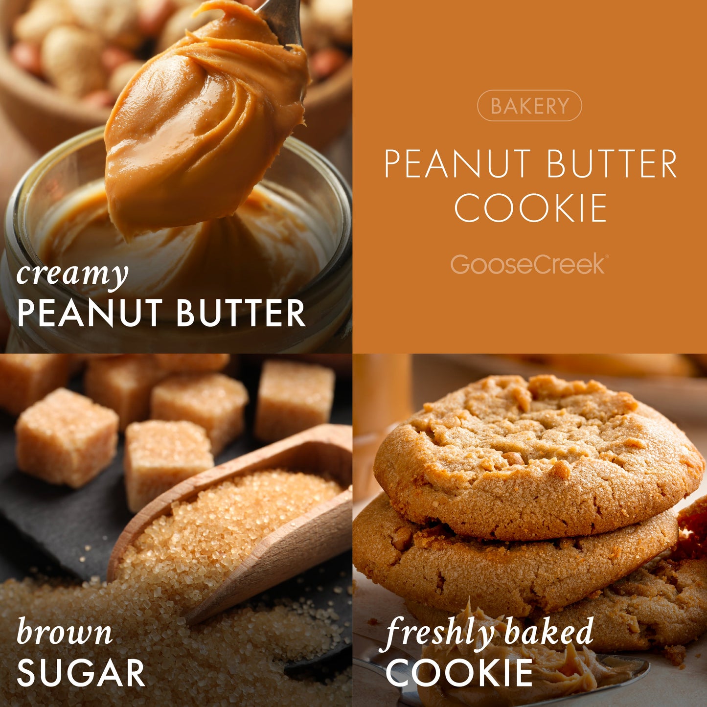 Peanut Butter Cookie 7oz Single Wick Candle