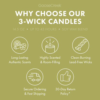 Pistachio Ice Cream 3-Wick Candle