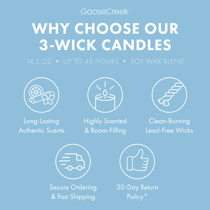 Rocket Power Nickelodeon 3-Wick Candle