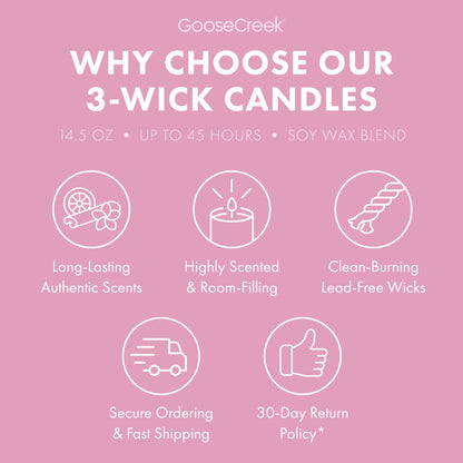 Rocko's Modern Life Nickelodeon 3-Wick Candle