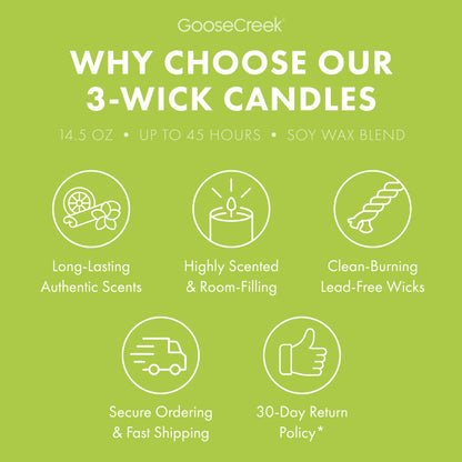 Rugrats Nickelodeon 3-Wick Candle