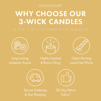 Sunlit Shores 3-Wick Candle