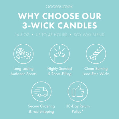 Sweet Salt Water Taffy 3-Wick Candle