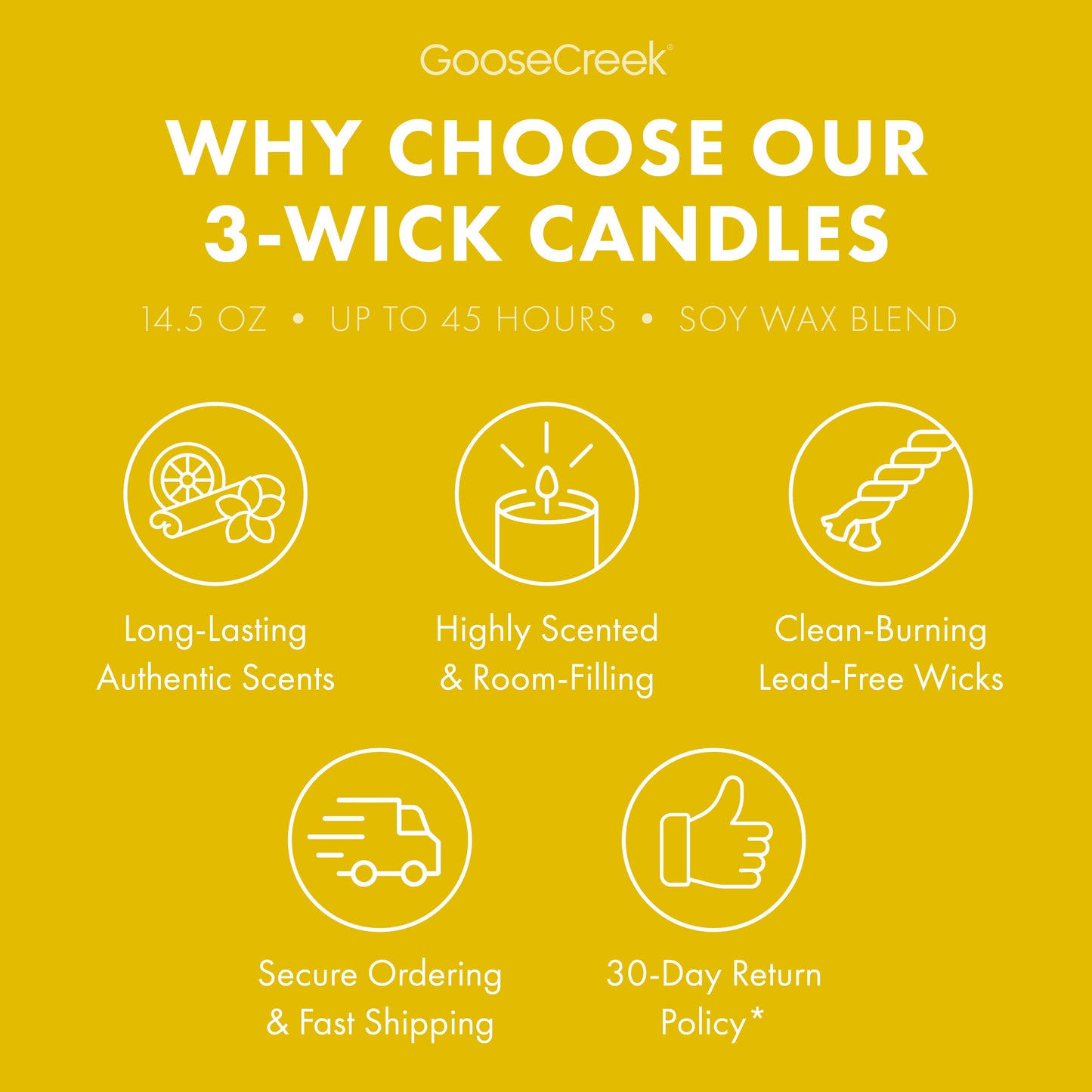 The Wild Thornberry's Nickelodeon 3-Wick Candle