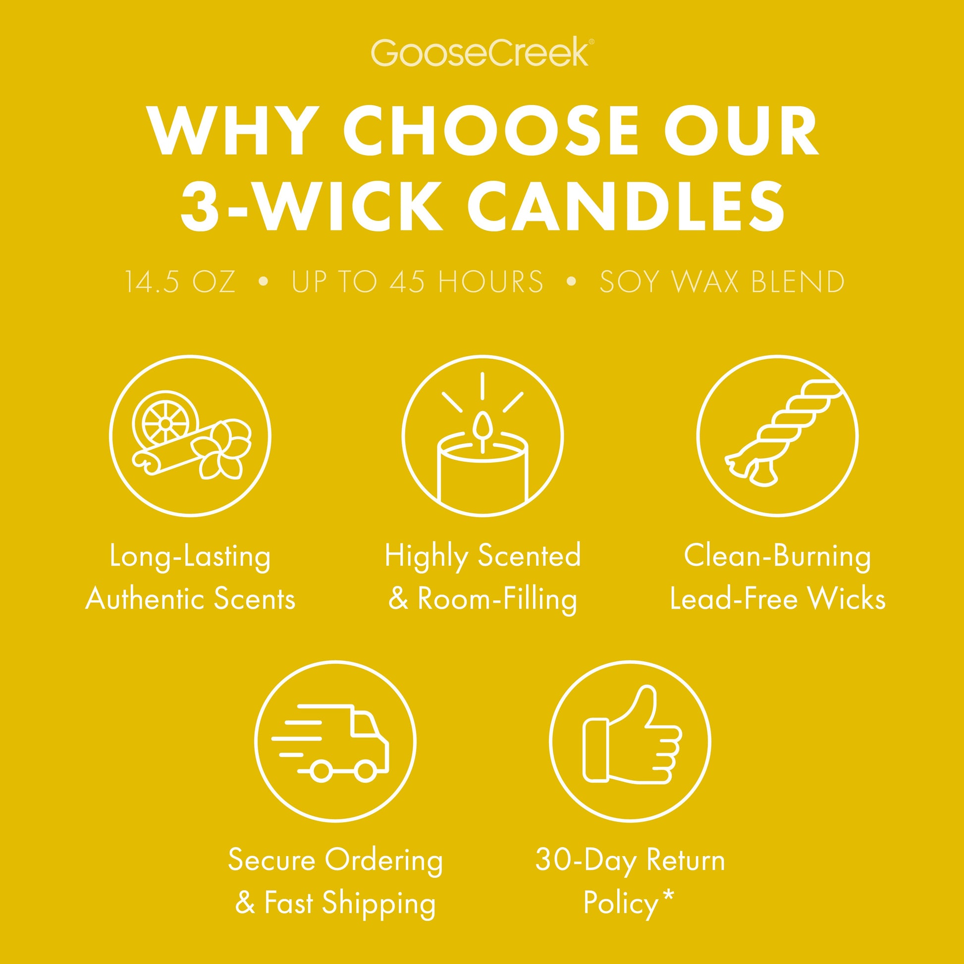 The Wild Thornberry's Nickelodeon 3-Wick Candle
