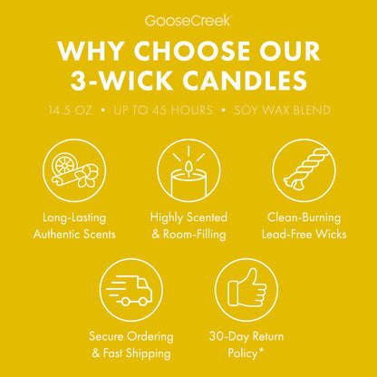 The Wild Thornberry's Nickelodeon 3-Wick Candle