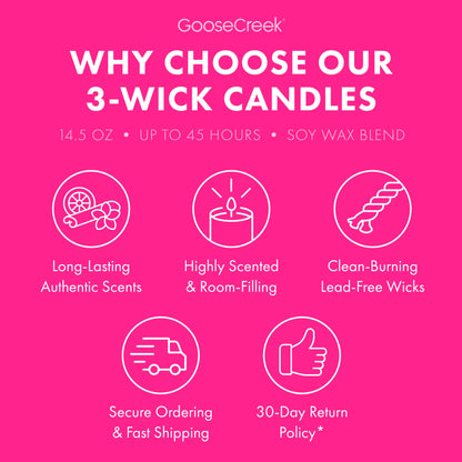 Tropical Daydream 3-Wick Candle